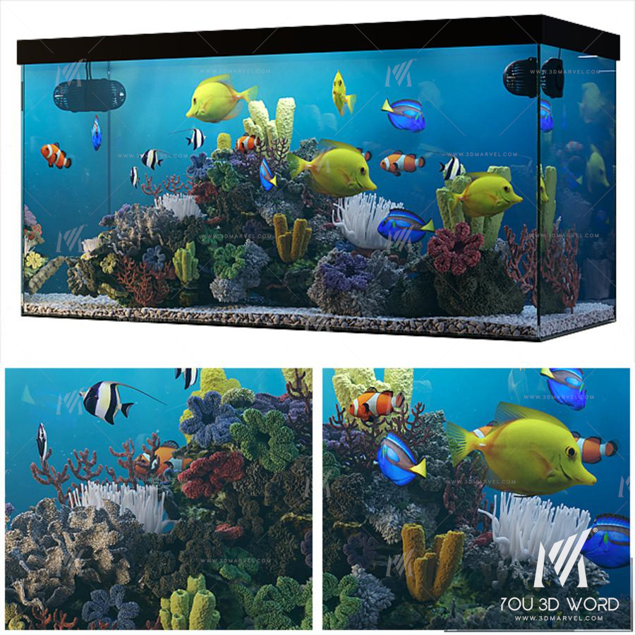 Seawater aquarium